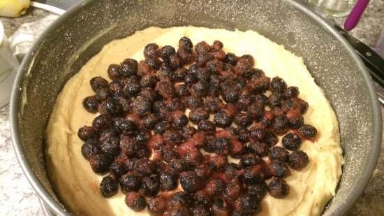 Blueberry Surprise Cake (Maida Heatter)