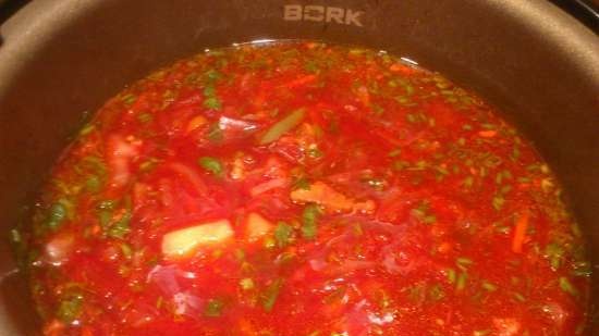 Borscht i en multikooker Bork U700