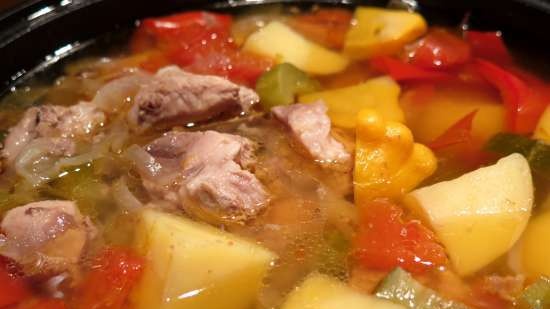 Pot of meat and vegetables with broth