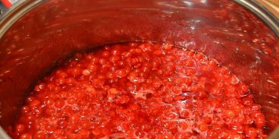 Jam-jelly "Kalina red"