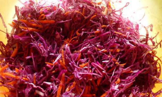 Rotkraut suss - sauer - pickled red cabbage