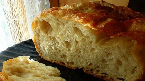 Roman ciabatta i Brand 6050 trykkoker