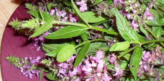 Garās fermentācijas tēja "Apple-Sage Sonata"