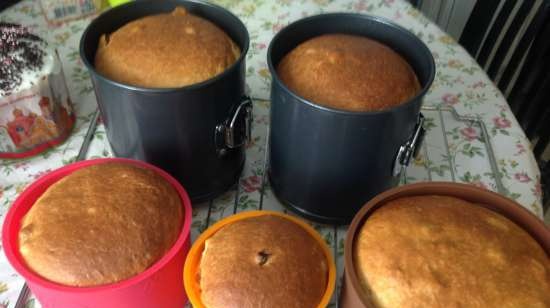 Kulich ar Myasoedovskaya krāsnī (meistarklase)