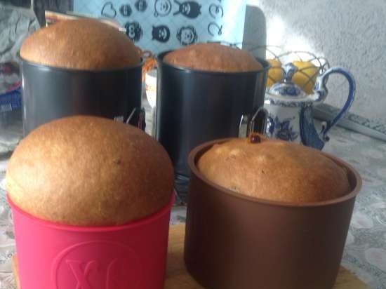 Kulich với Myasoedovskaya trong lò (lớp học chính)