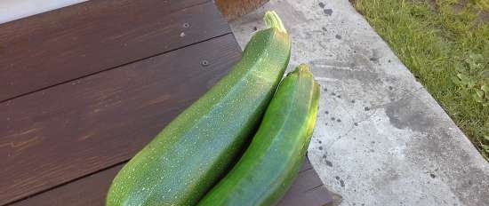 Heh fra courgette