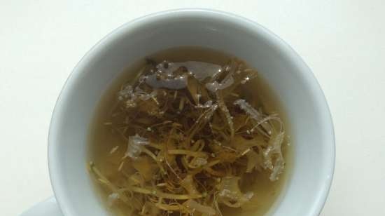 Fermented tea made from leaves of garden and wild plants (master class)