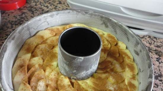 Apple Cinnamon Pie (Bolo de maca com canela)