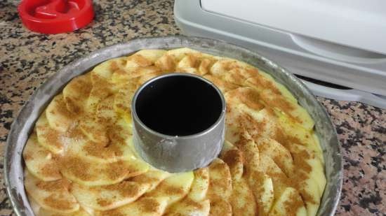 Apple Cinnamon Pie (Bolo de maca com canela)