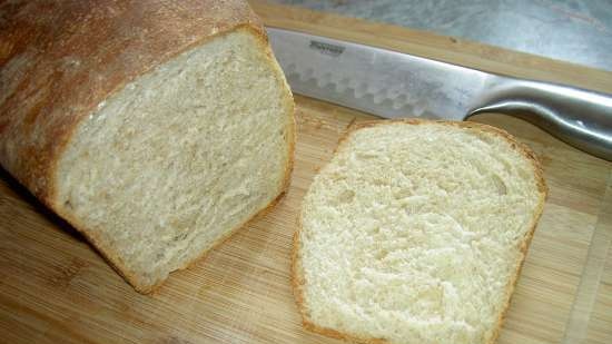 Gray bread on light beer in a bread maker