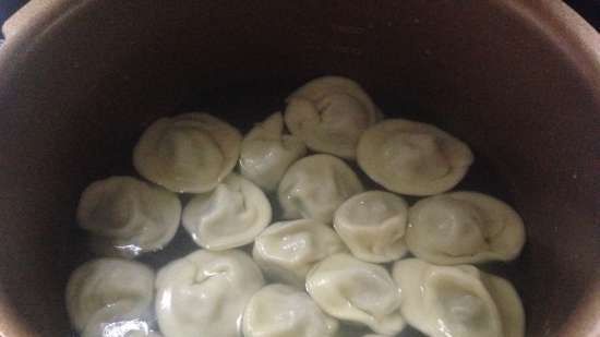 Dumplings og dumplings mold