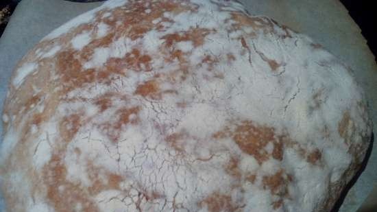 Ciabatta Tortillana (Tortilla Chef 118000 Princess cepamais trauks)