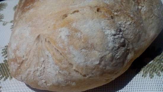 Ciabatta Tortillana (Tortilla Chef 118000 Princess cepamais trauks)