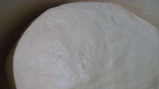 Ciabatta Tortillana (Tortilla Chef 118000 Princess cepamais trauks)