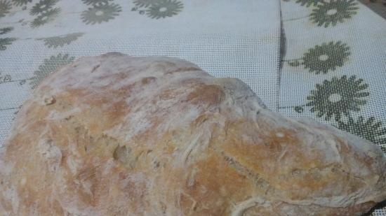 Ciabatta raudzēta ar 50% mitruma