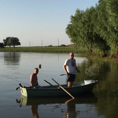 Gjedde eller steinbit fiskekaker