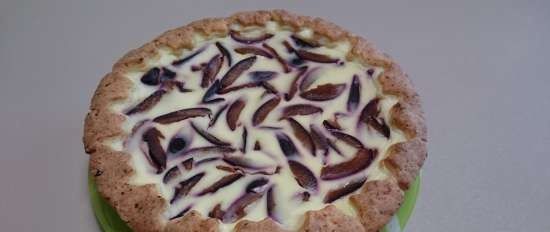 Variegated plum cake with curd dough