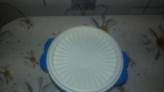 Plastfat Tupperware - anmeldelser