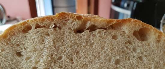 Pain de Campagne av Peter Reinhart (ovn)