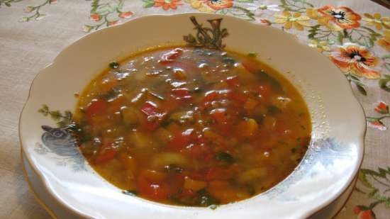 Bokhvete suppe med paprika og selleri i en multikoker Steba DD2