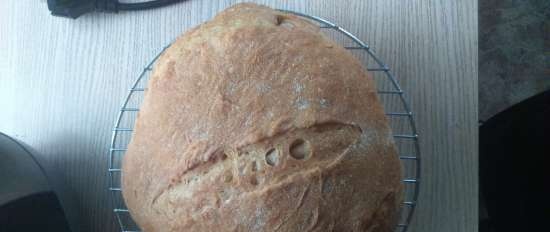 Pain de Campagne av Peter Reinhart (ovn)