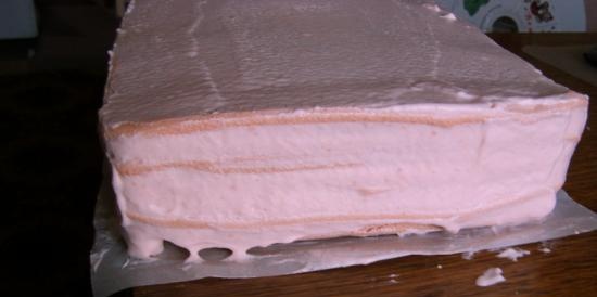 Belevskaya marshmallow in Lequip D5 Eco dehydrator