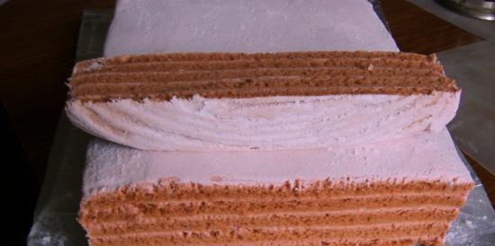 Belevskaya marshmallow in Lequip D5 Eco dehydrator