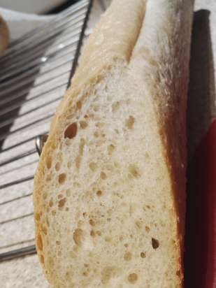 Pain de Campagne av Peter Reinhart (ovn)