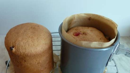 Kulich ar Myasoedovskaya krāsnī (meistarklase)