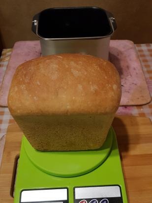 Bread maker Delta dl-8007b