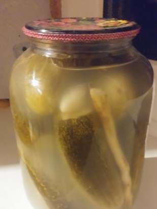 Curled pickled cucumbers (the simplest recipe)