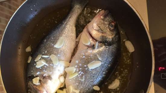 Seabream in Creazy Water