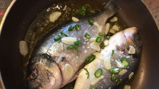 Seabream in Creazy Water