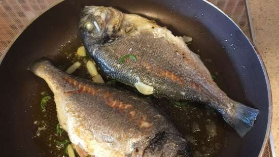 Seabream in Creazy Water