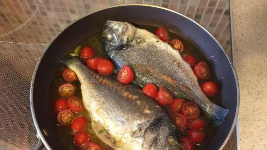 Seabream in Creazy Water