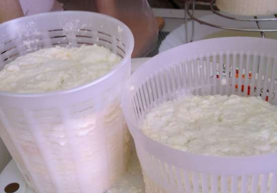 Ricotta hjemme