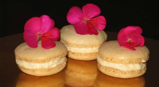 Alēns Dukass Macarons