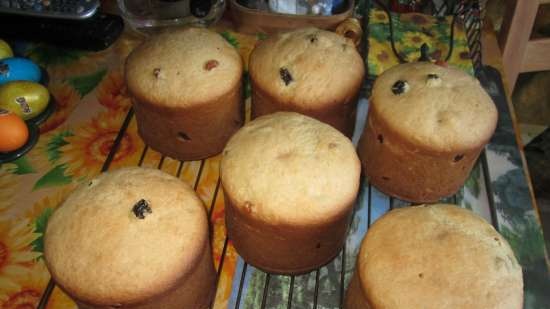 Kulich với Myasoedovskaya trong lò (lớp học chính)