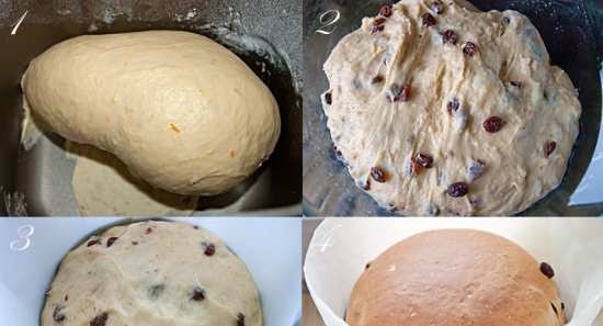 Kulich a la panettone