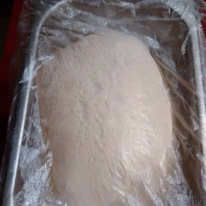 Pizza Dough Napolitansk (Neo-Neopolitan Pizza Dough) Peter Reinhart