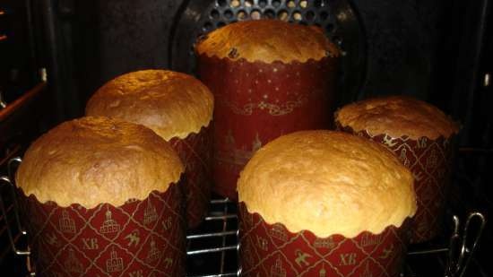 Kulich Masterpiece in the oven and multicooker Brand 502 (master class)