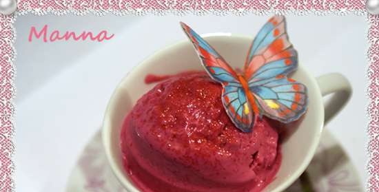 גלידת גבינת קוטג 'ברי רוז (גלידת קומפרסור Nemox Talent Gelato & Sorbet)