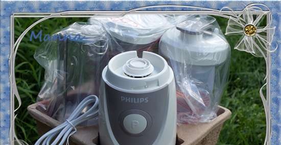 Mini blender Philips Blend & Go HR2874 (2872, 2875)