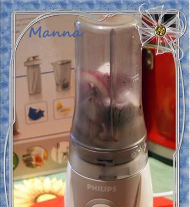 Mini blender Philips Blend & Go HR2874 (2872, 2875)