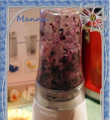 Mini blender Philips Blend & Go HR2874 (2872, 2875)