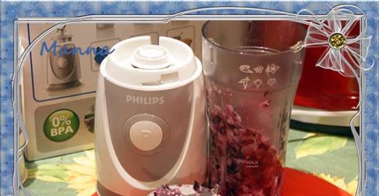 Mini blender Philips Blend & Go HR2874 (2872, 2875)