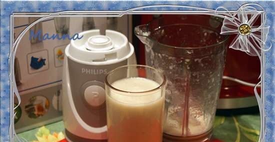 Mini blender Philips Blend & Go HR2874 (2872, 2875)