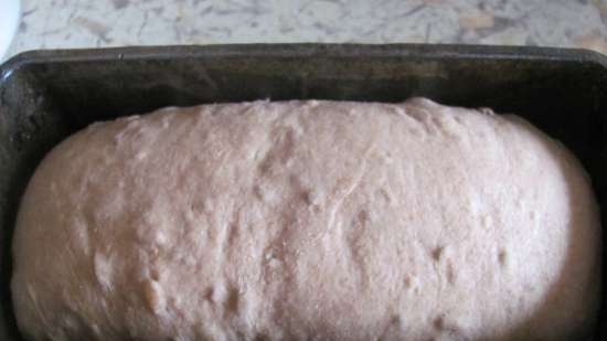 Dessert whole grain bread with honey and seeds