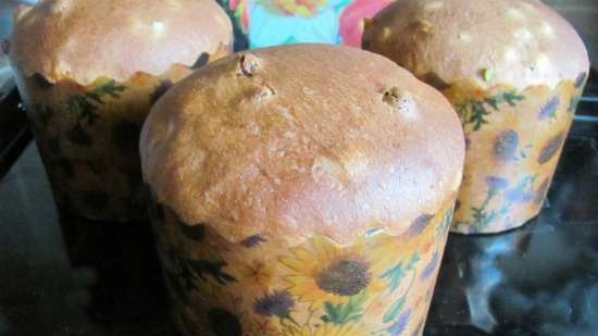 Panettone. Itāļu Lieldienu kūka (virtuves procesors Bomann KM 398 CB)