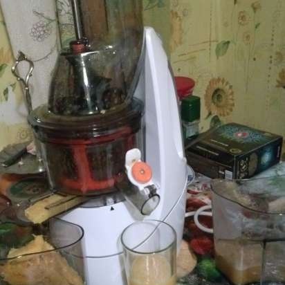 Auger juicer Caso SJW 400